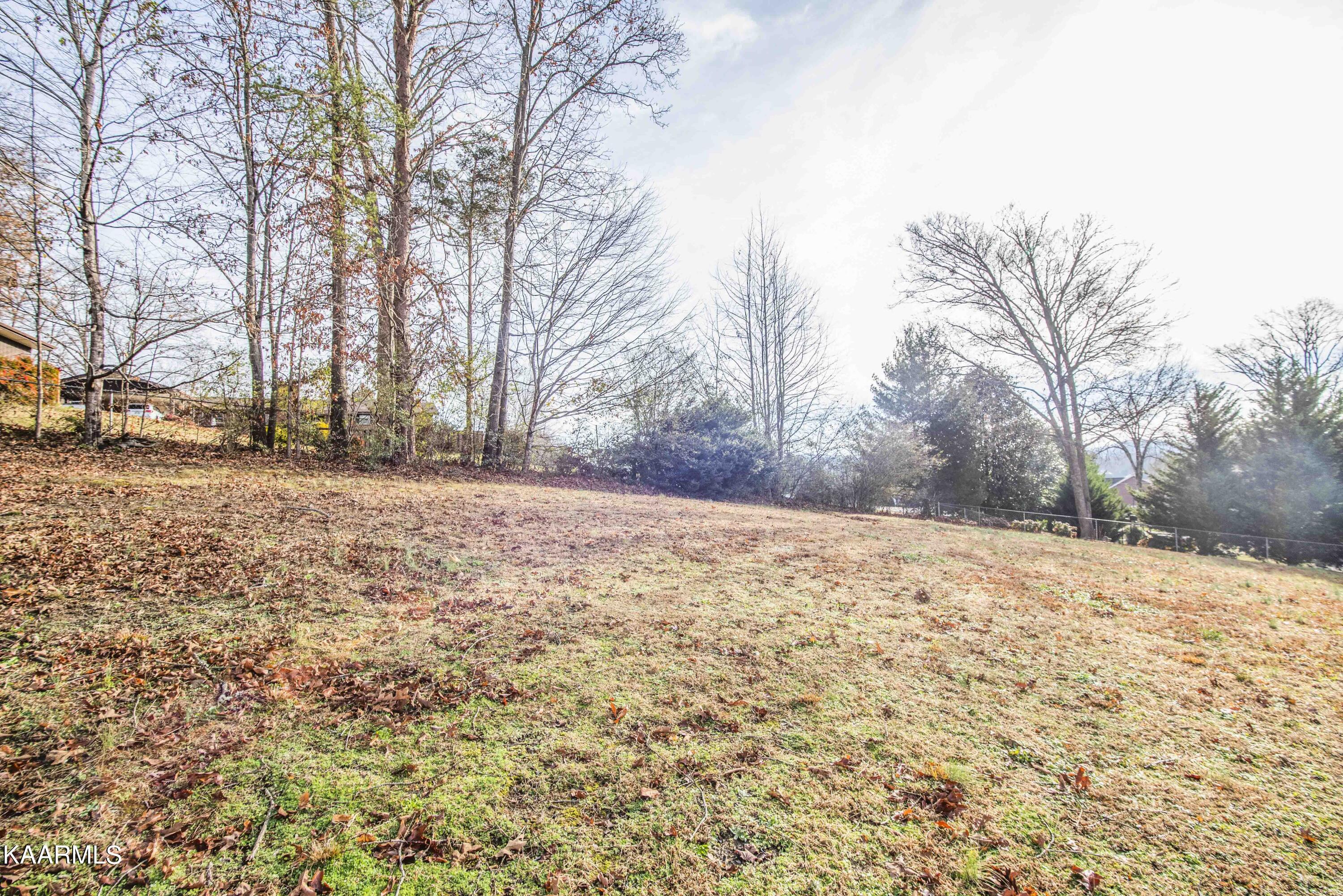 8907 West Emory Road Knoxville, TN 37931 - Photo 46 of 48 46_1