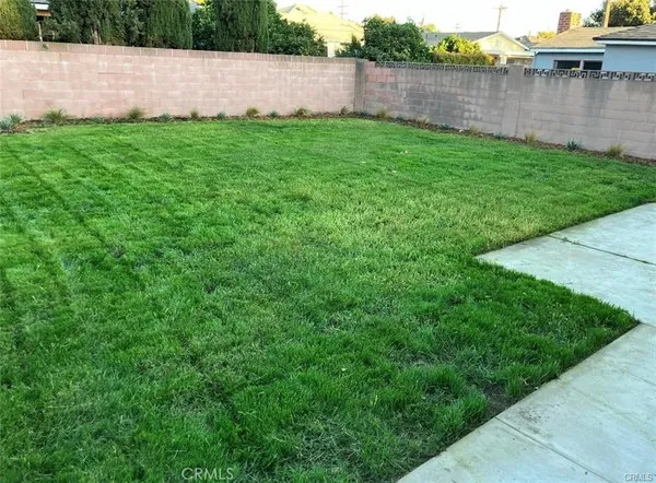 a view of a yard with a lake
