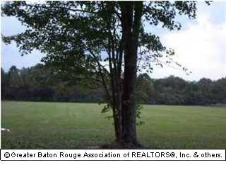 A-4-2) White Road Prairieville, LA 70769 - Photo 1 of 3 Gallery Image 1
