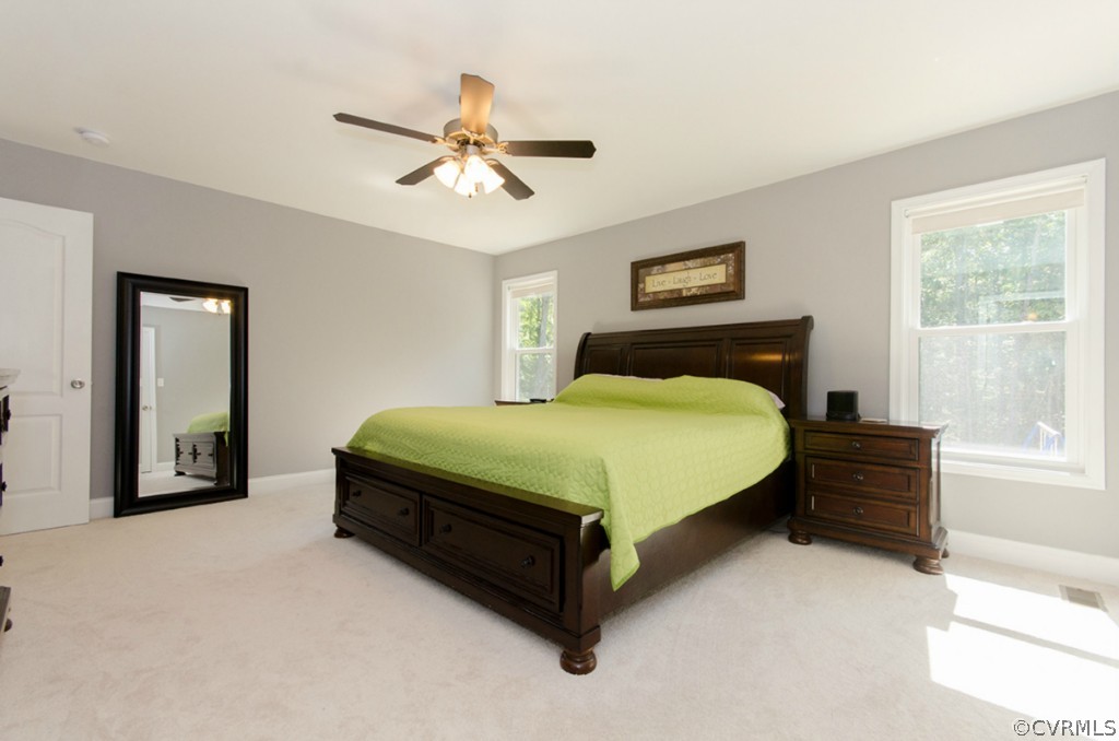 20705 Skinquarter Road Moseley, VA 23120 - Photo 12 of 24 Gallery Image 12
