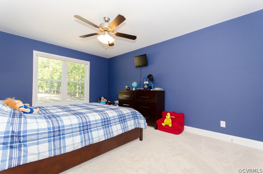 20705 Skinquarter Road Moseley, VA 23120 - Photo 15 of 24 Gallery Image 15