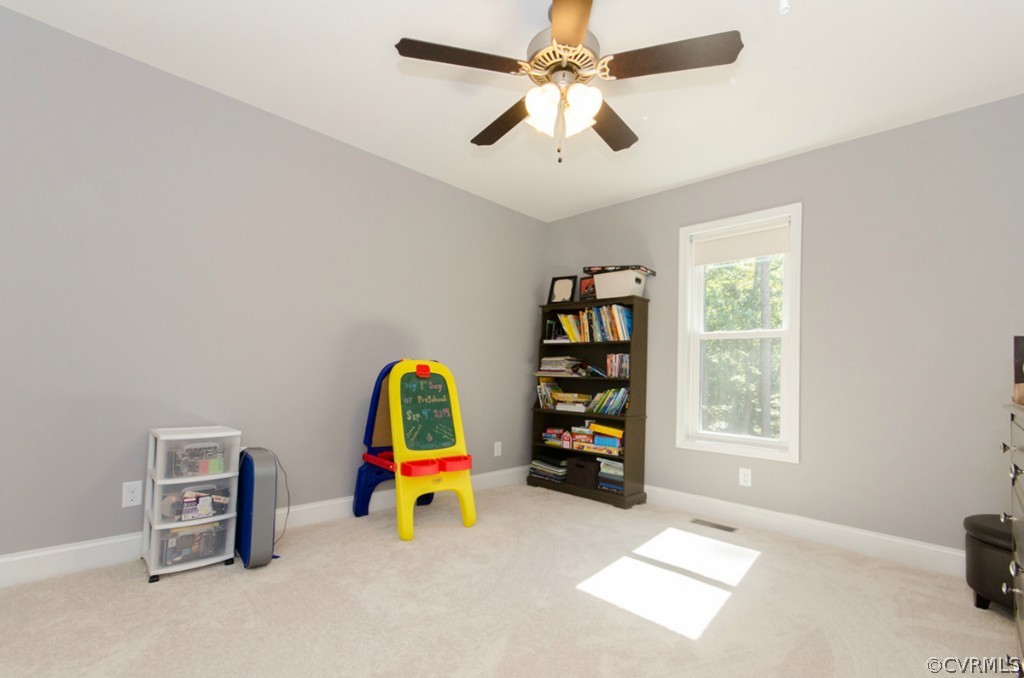 20705 Skinquarter Road Moseley, VA 23120 - Photo 17 of 24 Gallery Image 17