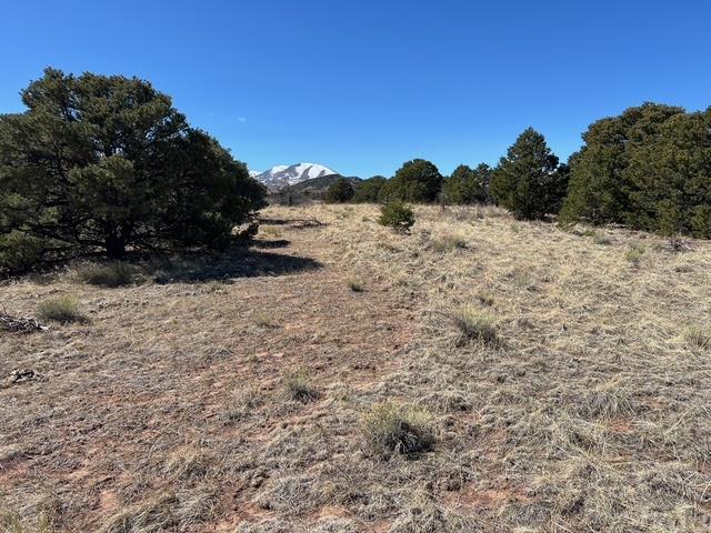 3 B Majors Ranch Road Walsenburg, CO 81089 - Photo 32 of 54