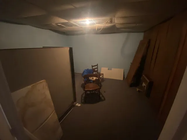 a room with trees and refrigerator