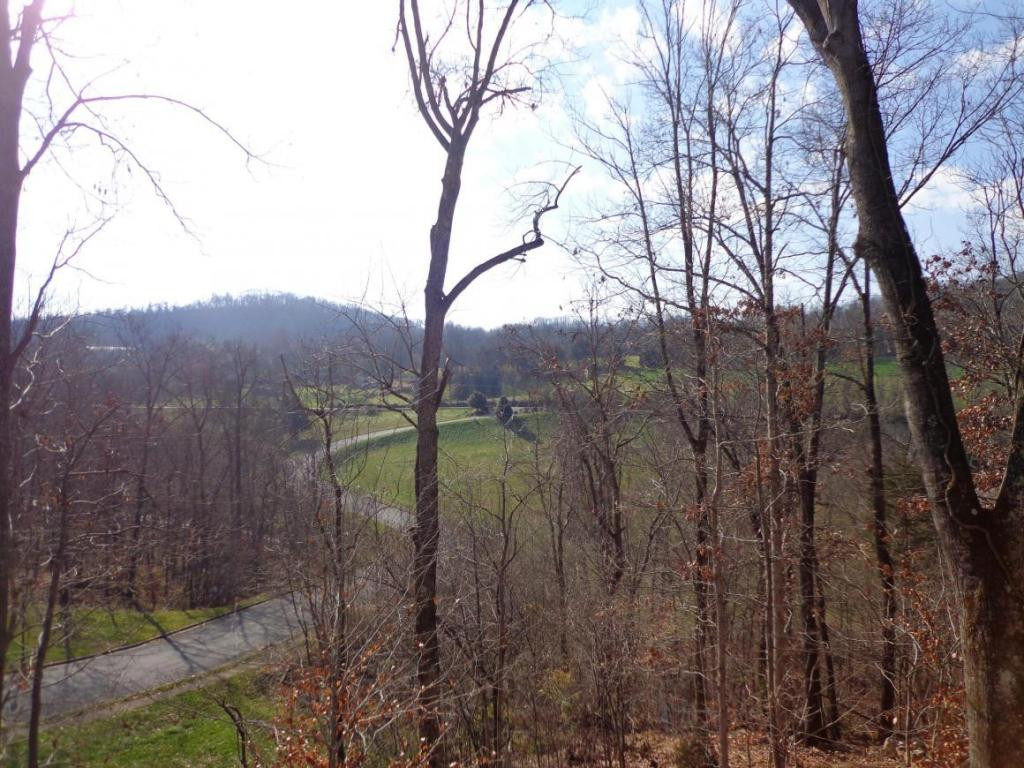 144 Stonebrook Loop Elizabethton, TN 37643 - Photo 4 of 21 Photo 4