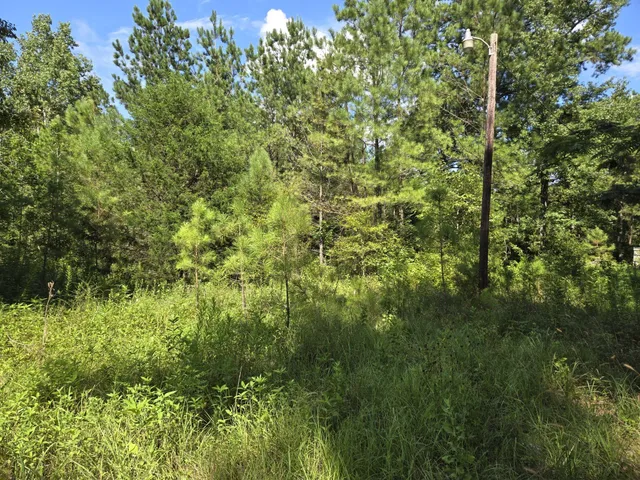 $139,000 | 980 St Huntsville Tx 77320, Huntsville, TX 77320