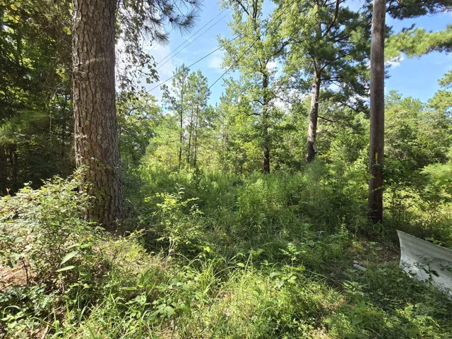 $139,000 | 980 St Huntsville Tx 77320, Huntsville, TX 77320