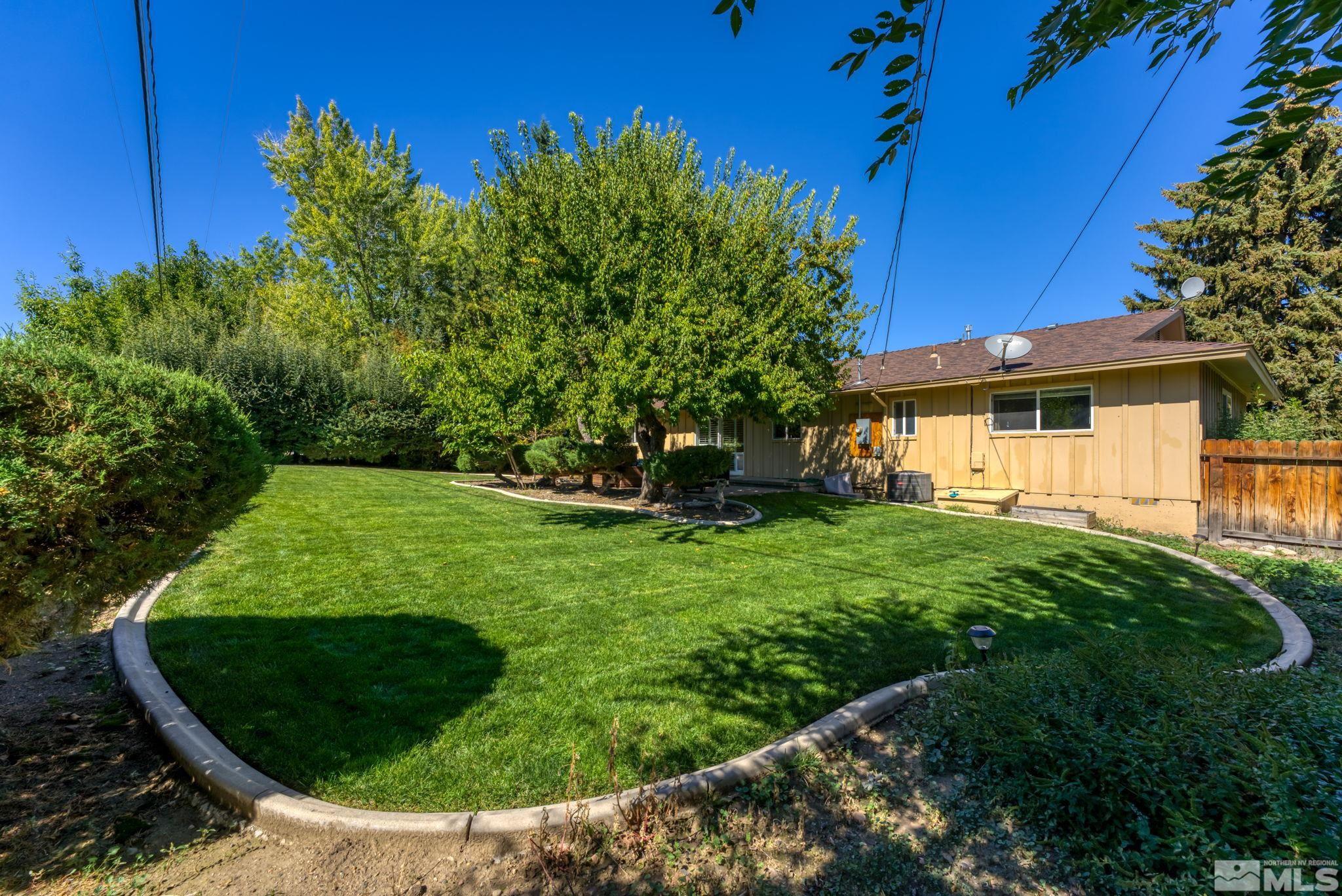1070 Pineridge Drive Reno, NV 89509 - Photo 24 of 24 a view of a backyard with potted plants and large tree