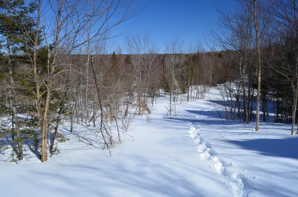 96 Freedom Way Springfield, ME 04487 - Photo 7 of 15 Photo