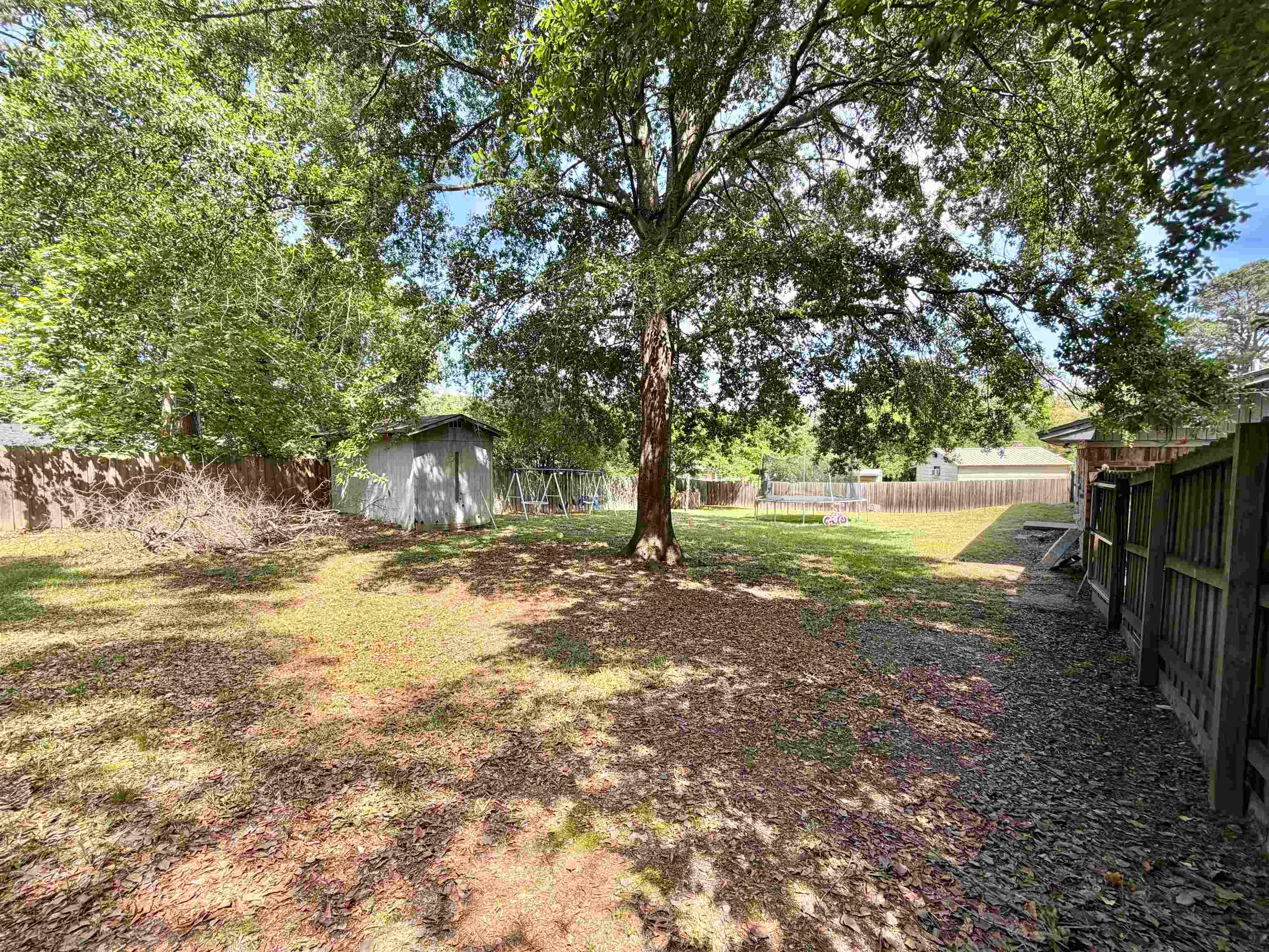 804 Grapevine Road Daingerfield, TX 75638 - Photo 16 of 41 Gallery Image 16