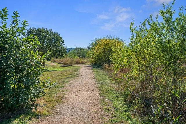 a front view of a house with a yard and tree s