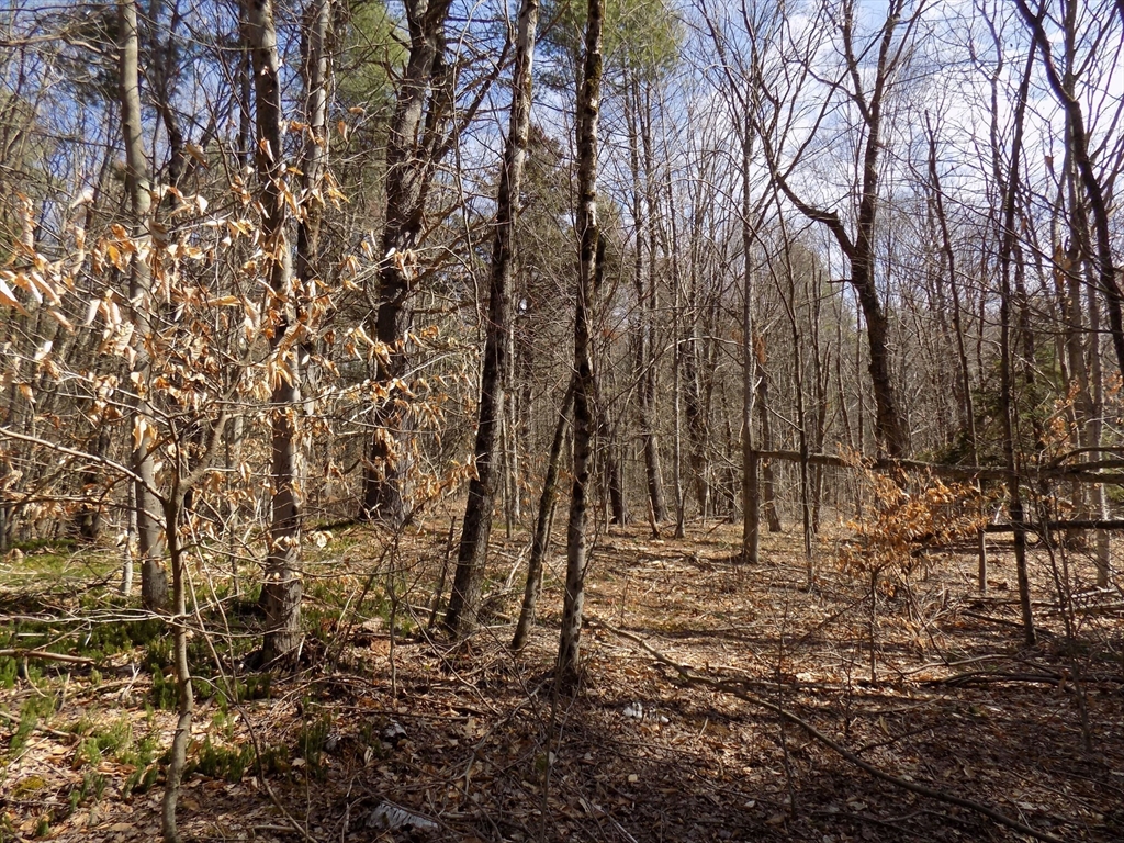 0 Summit Hill Road Becket, MA 01223 - Photo 12 of 15 Gallery Image 12