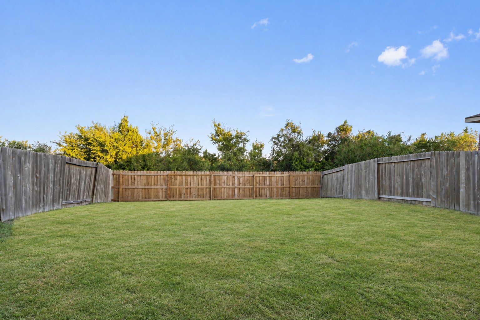 20205 Grover Cleveland Way Manor, TX 78653 - Photo 26 of 26 a view of a back yard