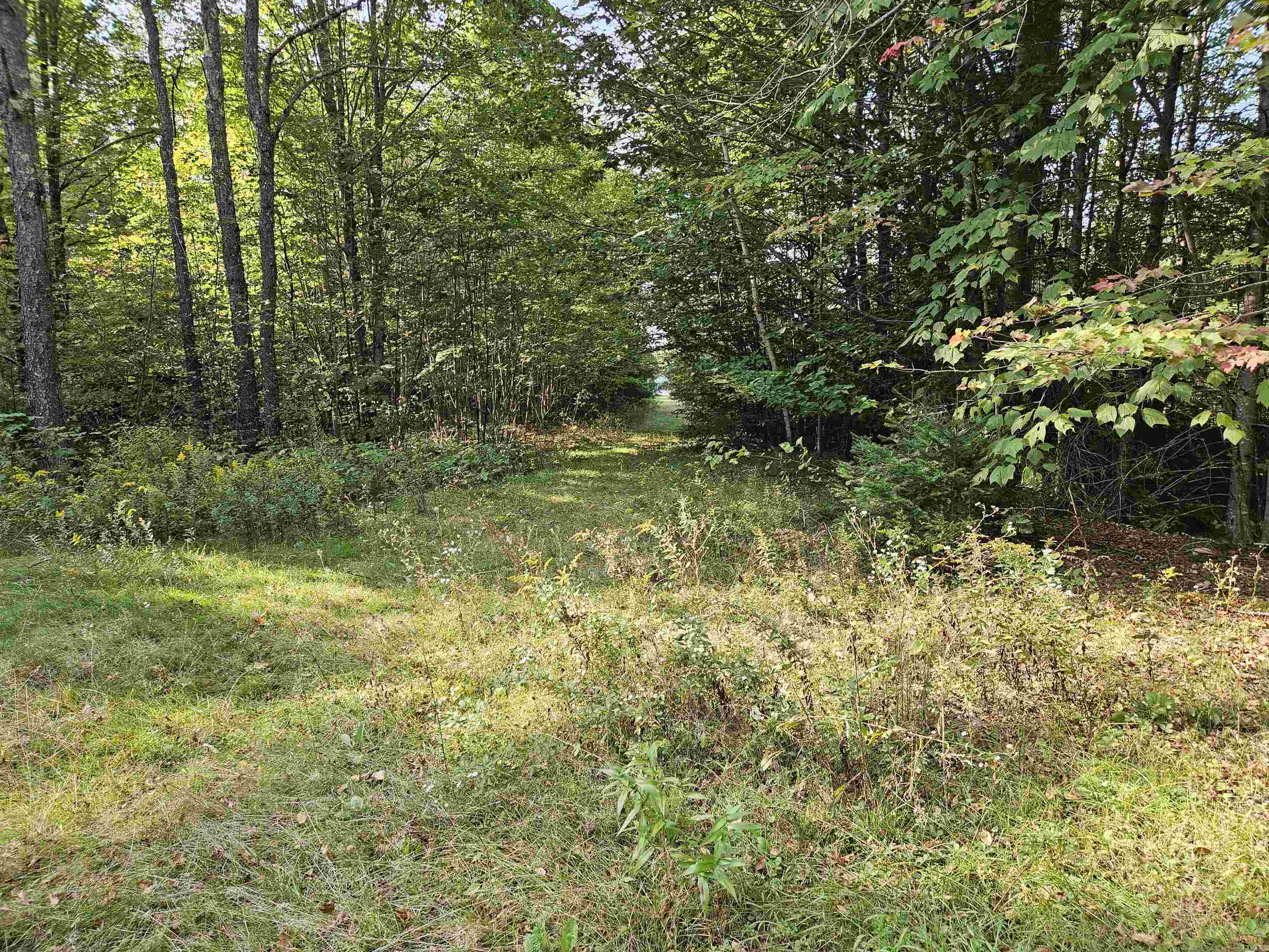 1476 Profile Road Franconia, NH 03580 - Photo 3 of 12