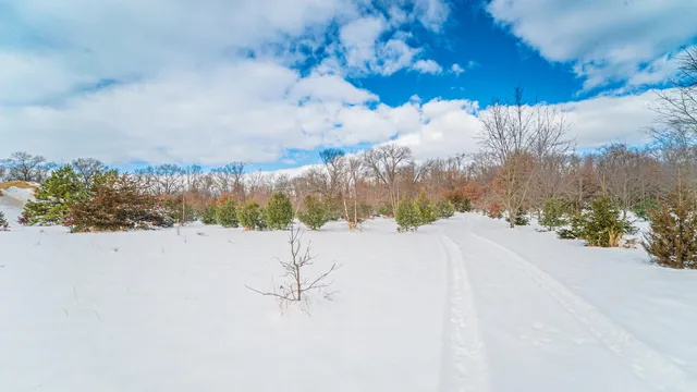 a view of a field with trees in the background
