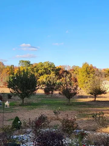 a view of a field with large trees
