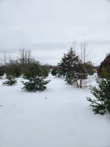 a view of a road with a yard