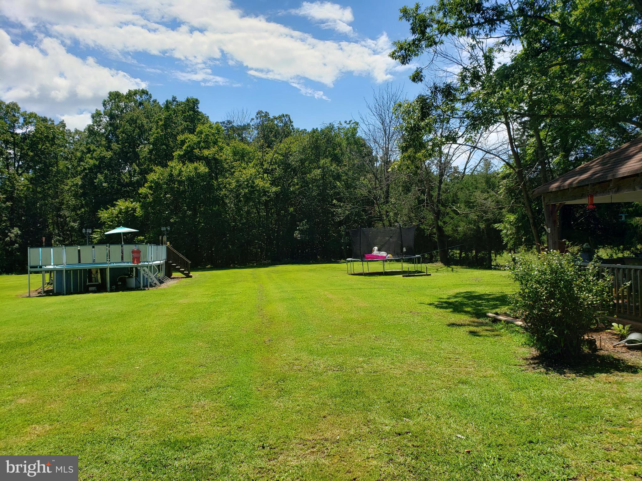 20026 Mt Pony Road Culpeper, VA 22701 - Photo 3 of 22 VIEW OF WOODS