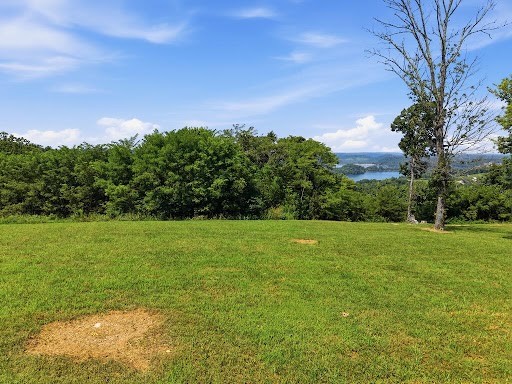 C Swan Ridge Road Celina, TN 38551 - Photo 2 of 10 Gallery Image 2