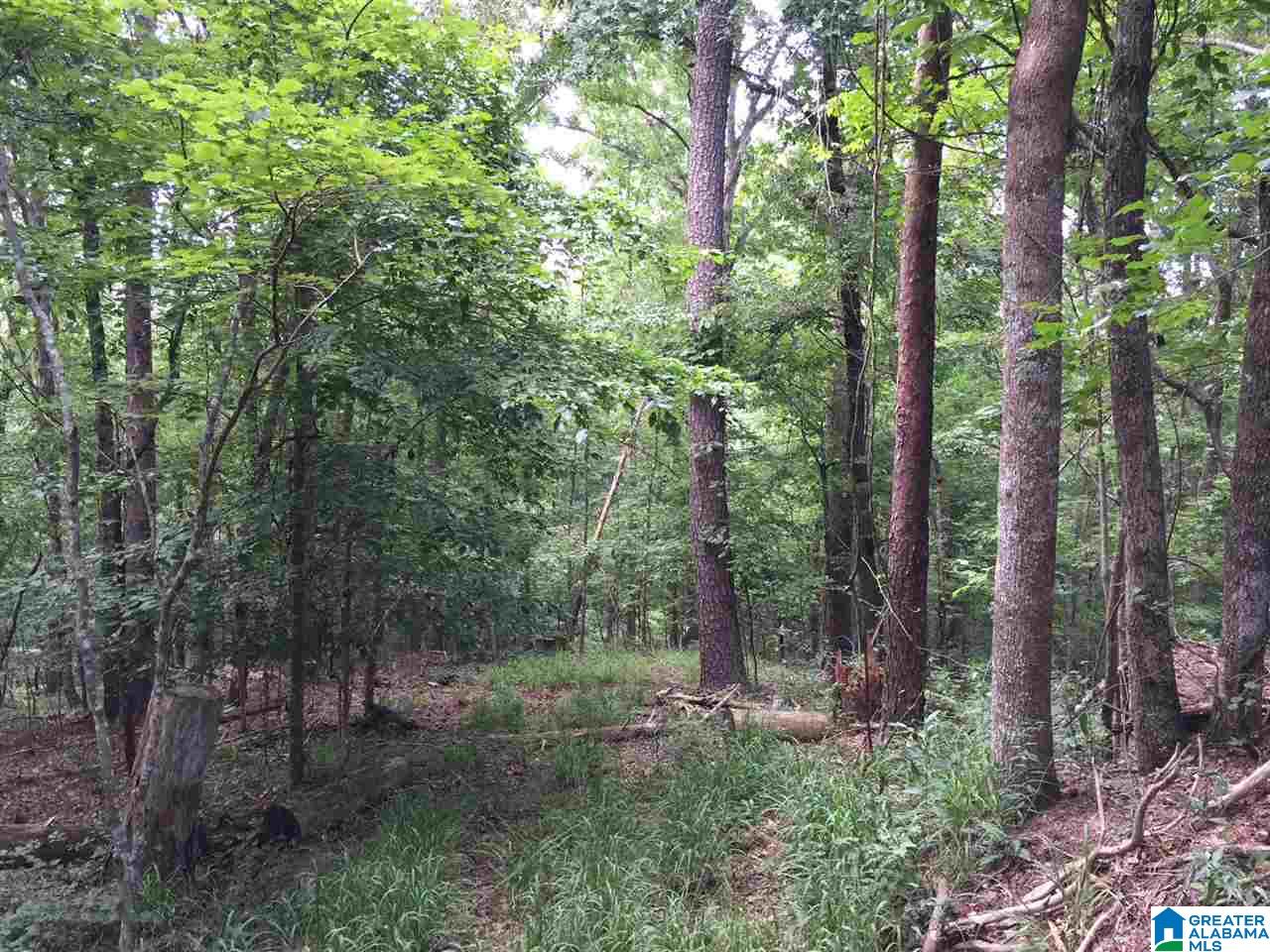 2364 Grants Mill Road Birmingham, AL 35210 - Photo 6 of 17