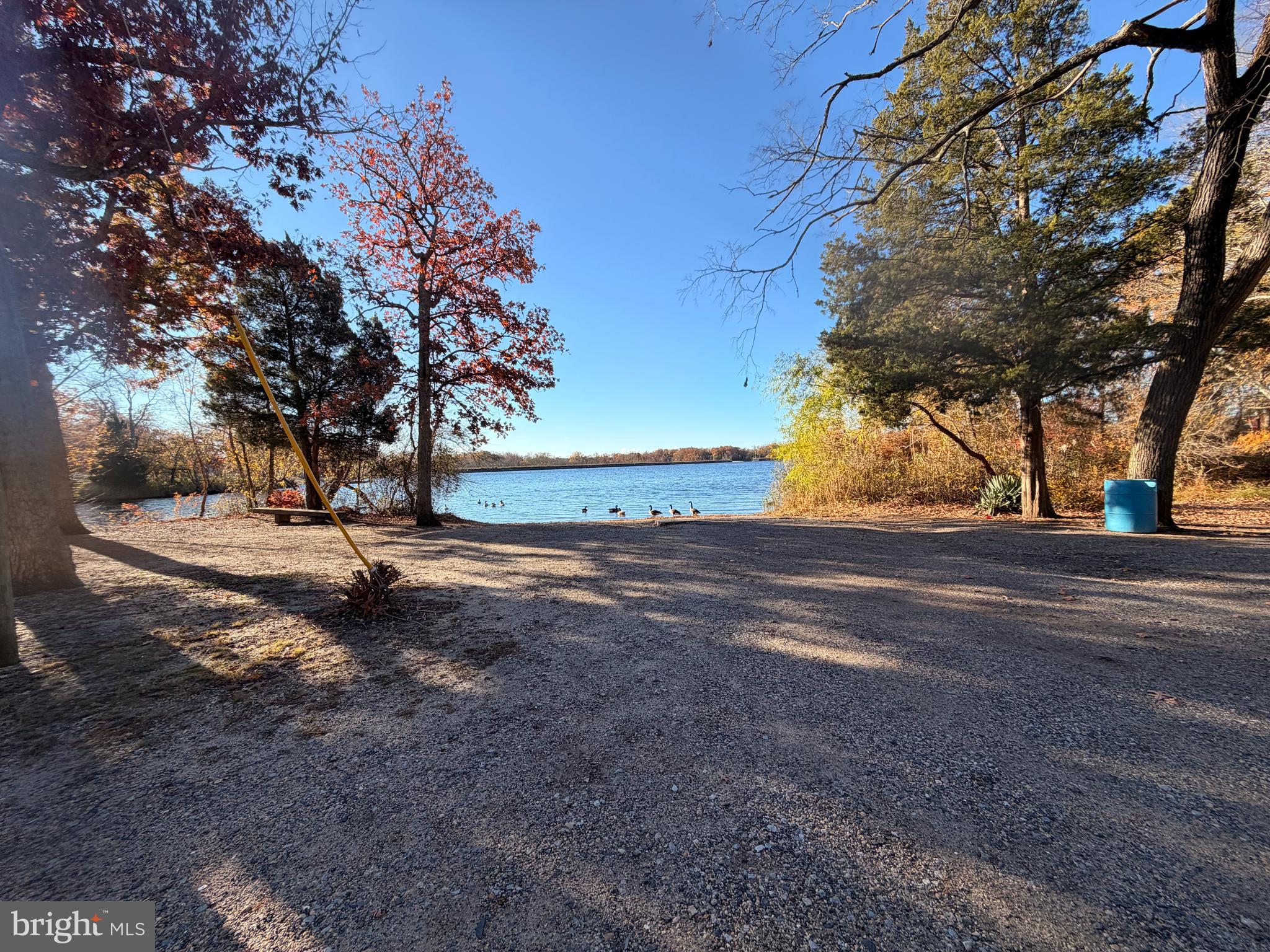 404 Sharp Street Millville, NJ 08332 - Photo 17 of 17 a view of a yard with tree s