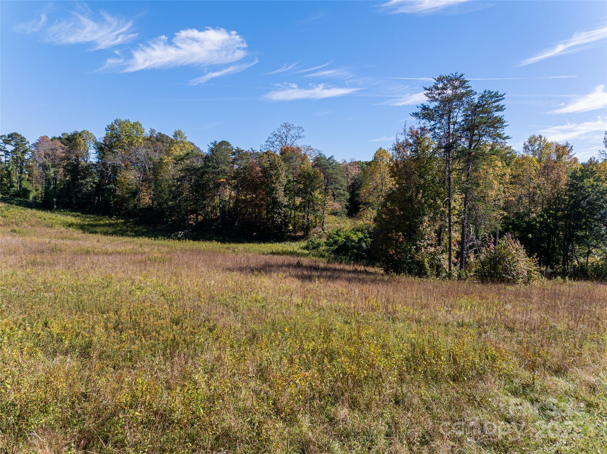 0 A R A R Thompson Road, Unit 27 Mill Spring, NC 28756 - Photo 5 of 14 a view of a yard with a house in the background