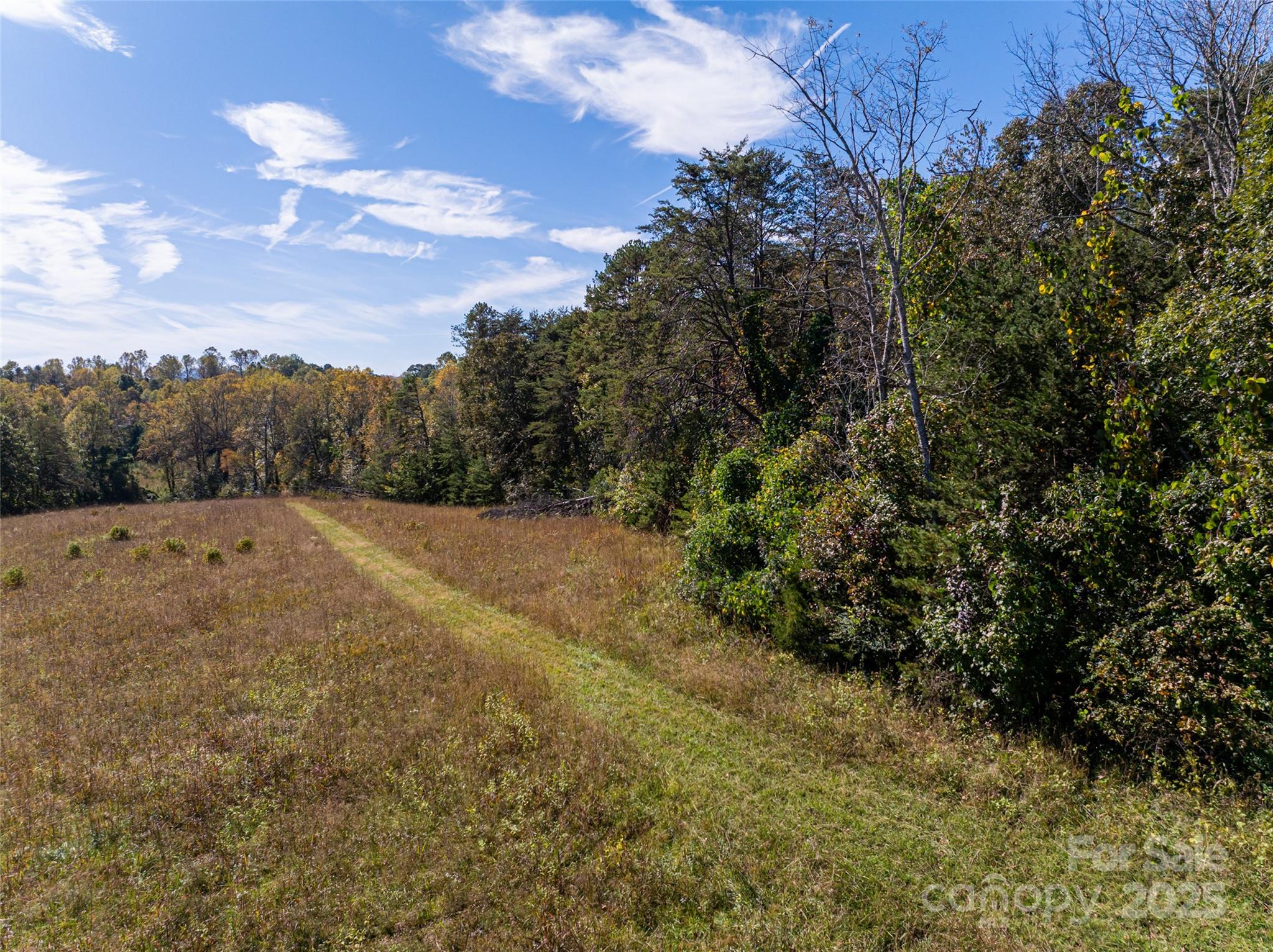 0 A R A R Thompson Road, Unit 27 Mill Spring, NC 28756 - Photo 6 of 14 a view of a green field