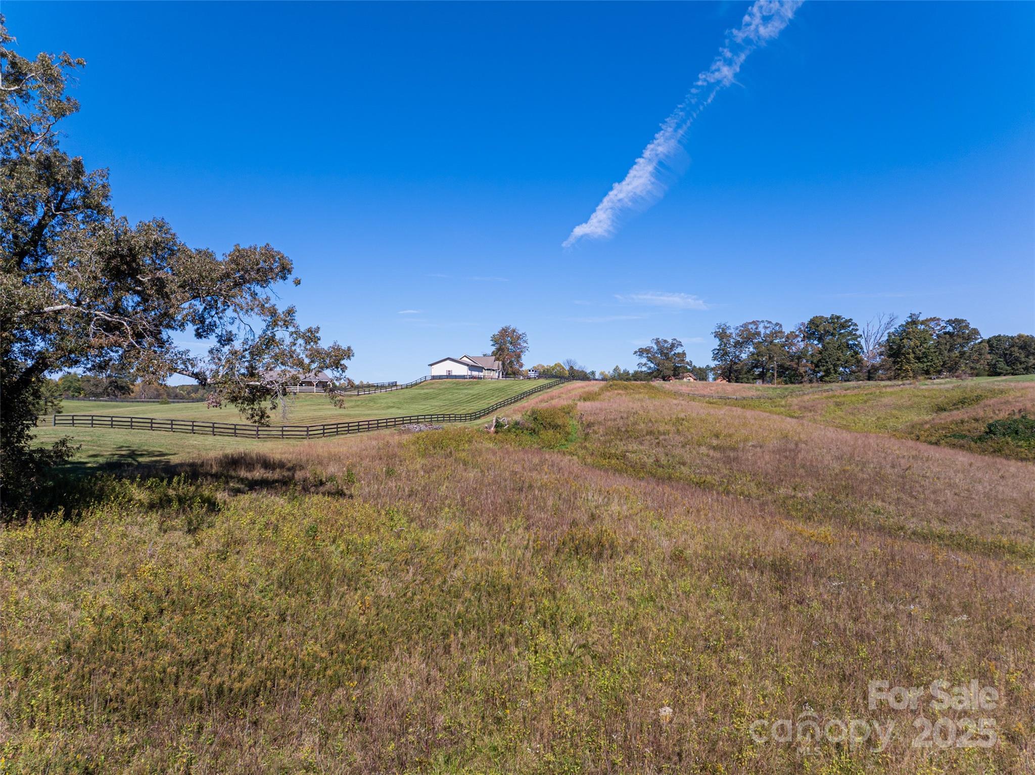 0 A R A R Thompson Road, Unit 27 Mill Spring, NC 28756 - Photo 8 of 14 a view of a yard with a tree