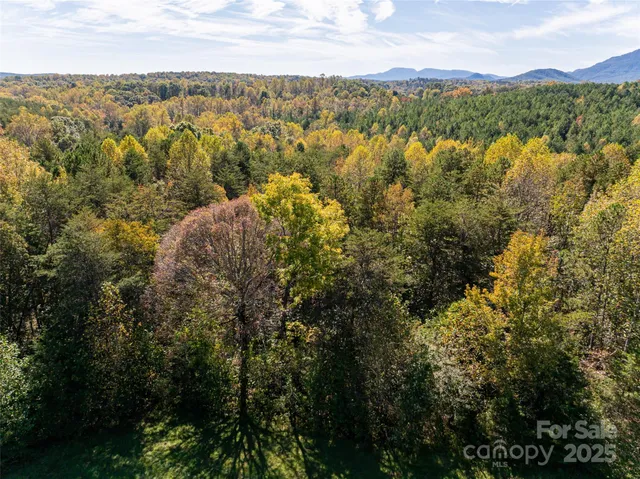 a view of lake and mountain