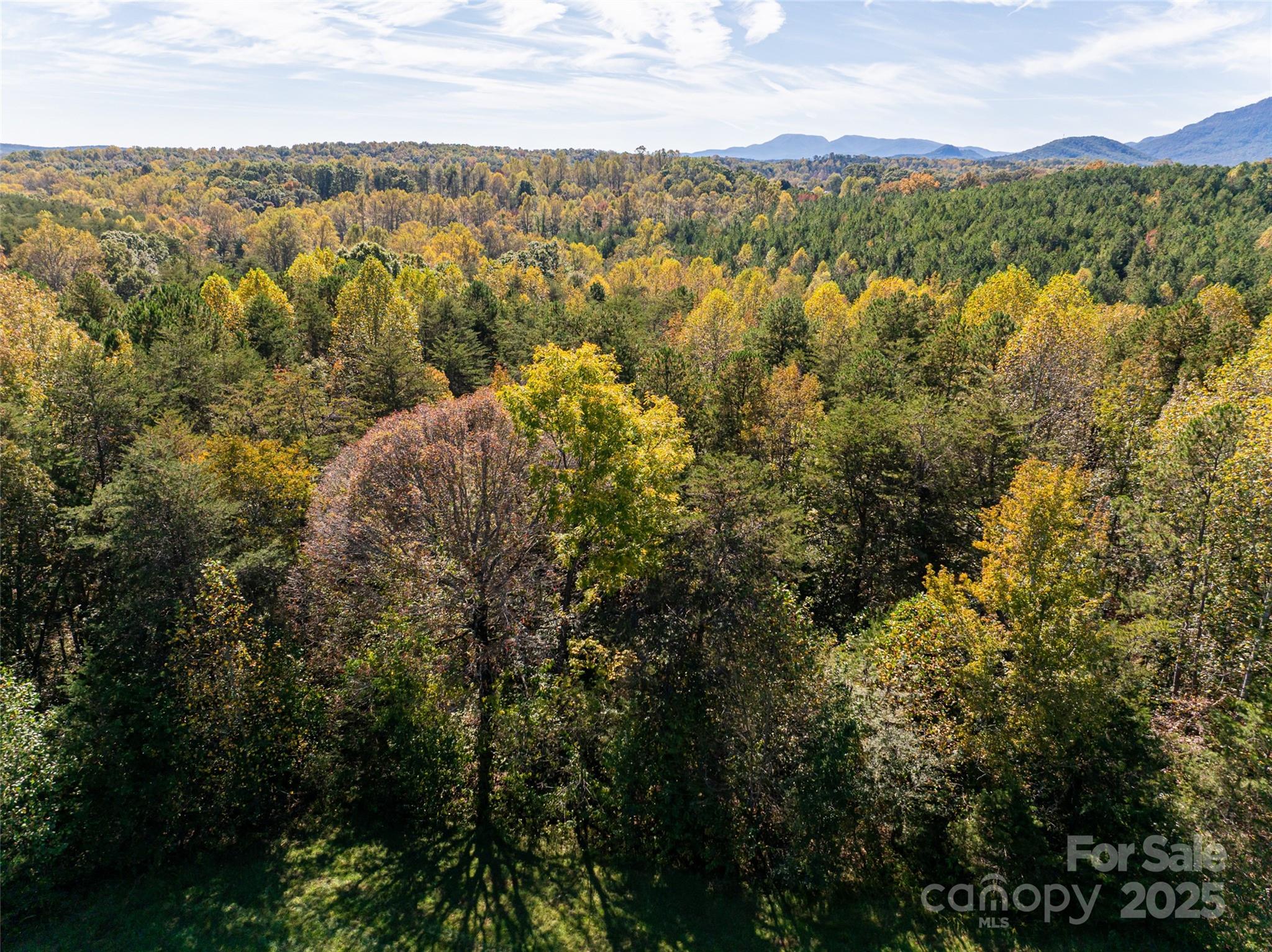 0 A R A R Thompson Road, Unit 27 Mill Spring, NC 28756 - Photo 10 of 14 a view of lake and mountain