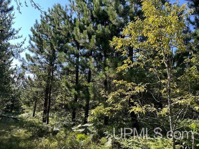 Tbd 54-acres Tbd 54-acres Rice Lake Road Gwinn, MI 49841 - Photo 10 of 11