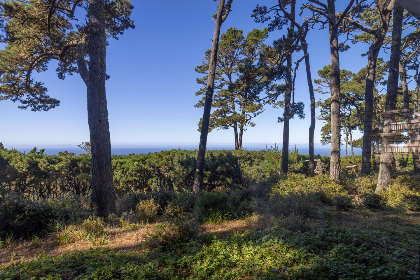 22 Ocean Pines Lane, Unit 22 Pebble Beach, CA 93953 - Photo 24 of 28 a view of a garden