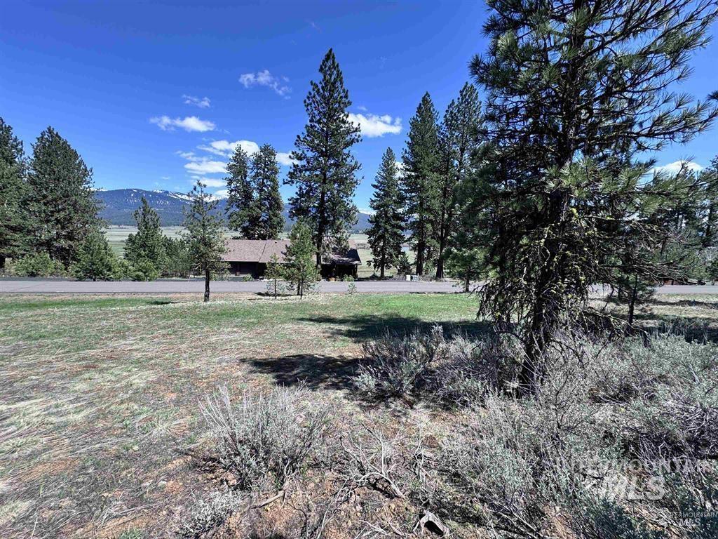 Lot 19 Hot Springs Road New Meadows, ID 83654 - Photo 23 of 28