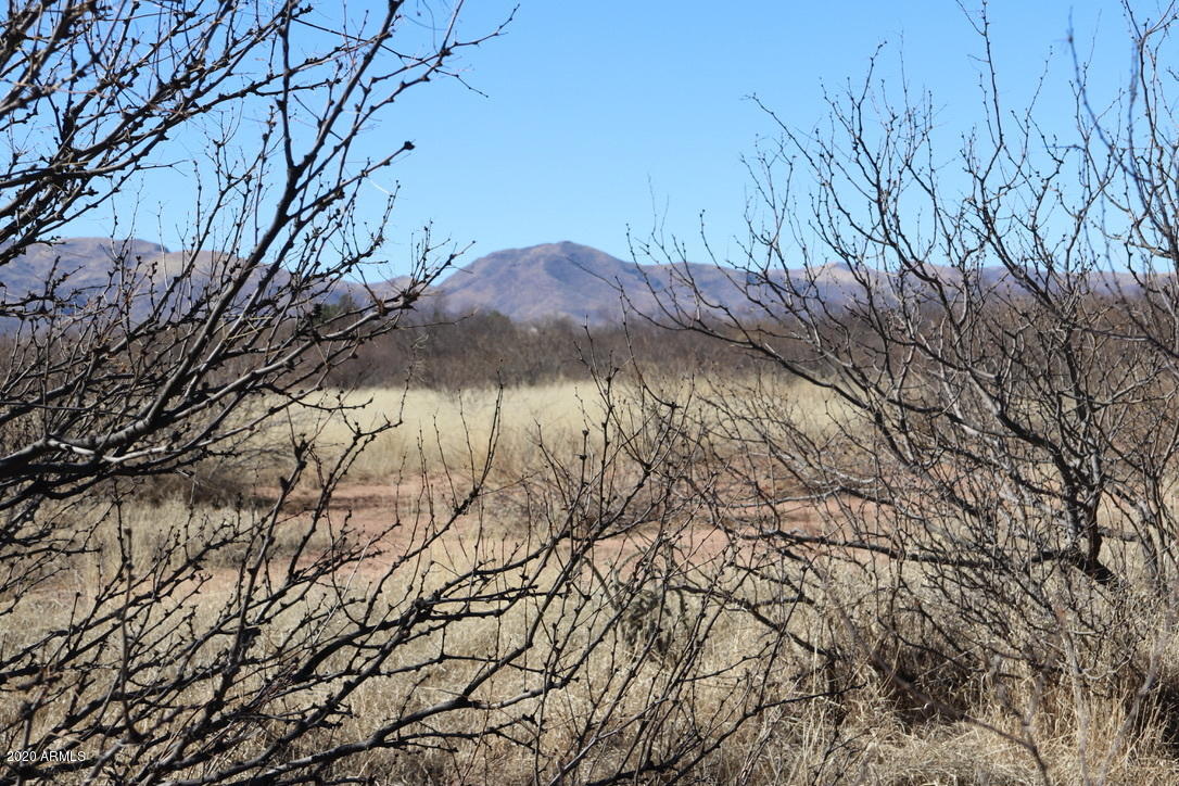 4887 West Prince Road, Unit 2H McNeal, AZ 85617 - Photo 8 of 9 land view