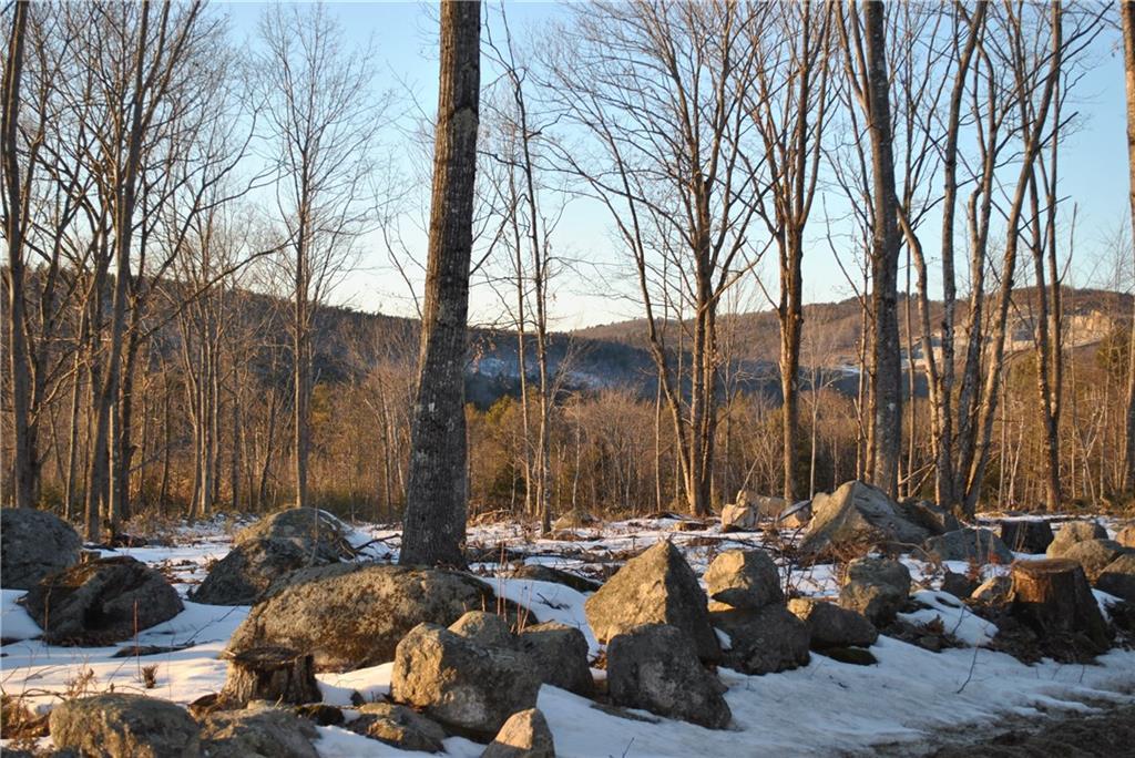Lot 9-1 Lombard Hill Road Limerick, ME 04048 - Photo 3 of 5 Photo