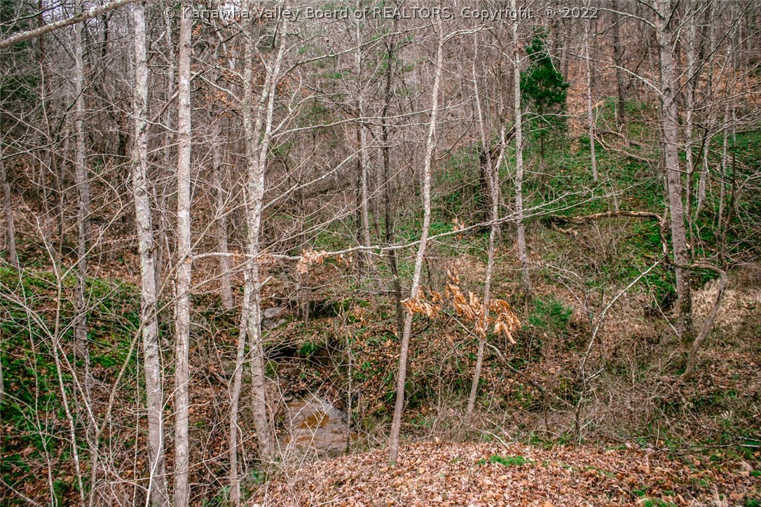 4075 Stone Lick Road Kenna, WV 25248 - Photo 17 of 20 Gallery Image 17