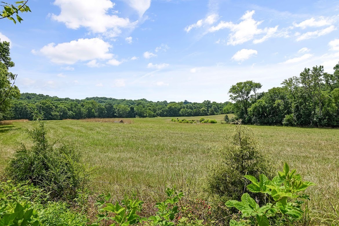 3238 Chase Point Drive Franklin, TN 37067 - Photo 29 of 29 a view of a lake view with a lake
