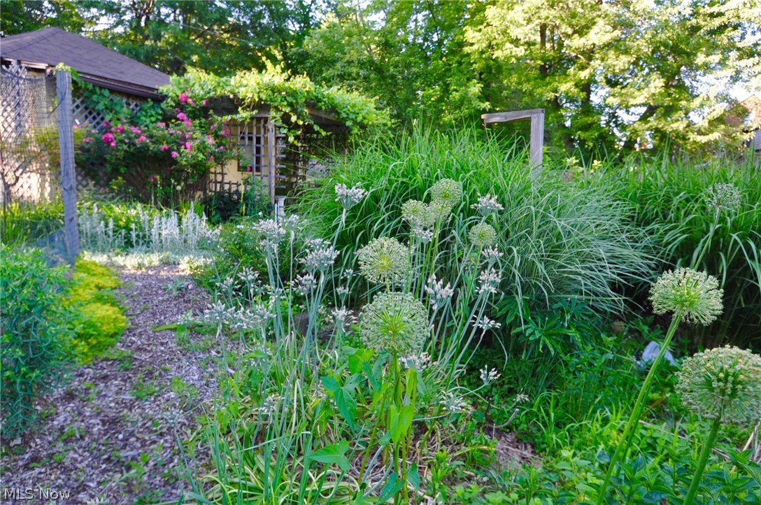2181 North Taylor Road Cleveland Heights, OH 44112 - Photo 33 of 35