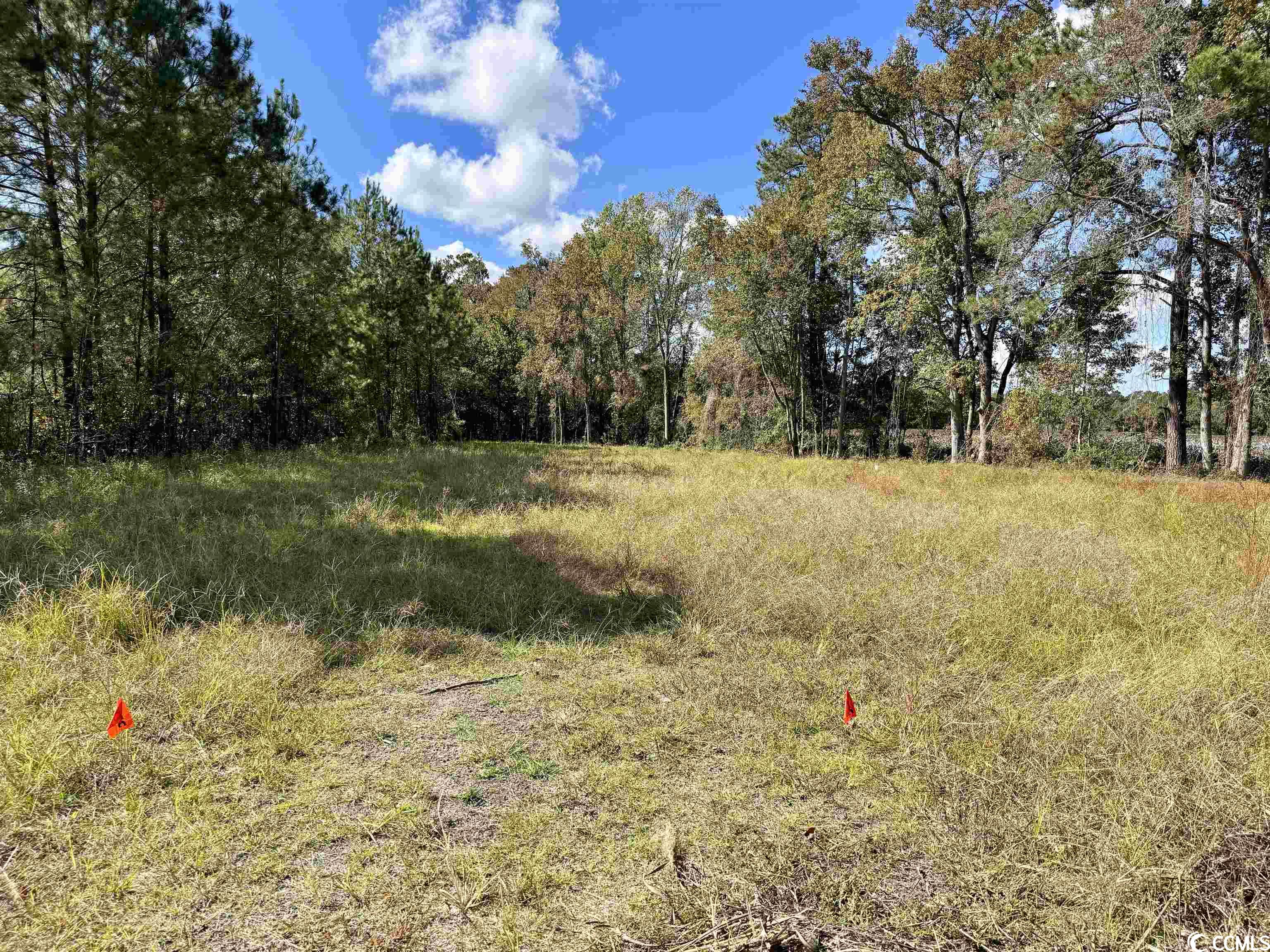 Bridgebrook Lane Conway, SC 29527 - Photo 1 of 9 Gallery Image 1