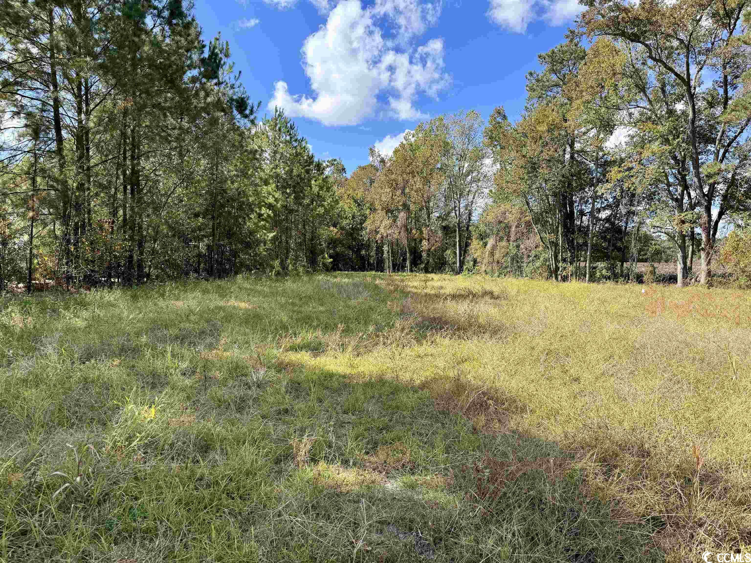 Bridgebrook Lane Conway, SC 29527 - Photo 2 of 9 Gallery Image 2