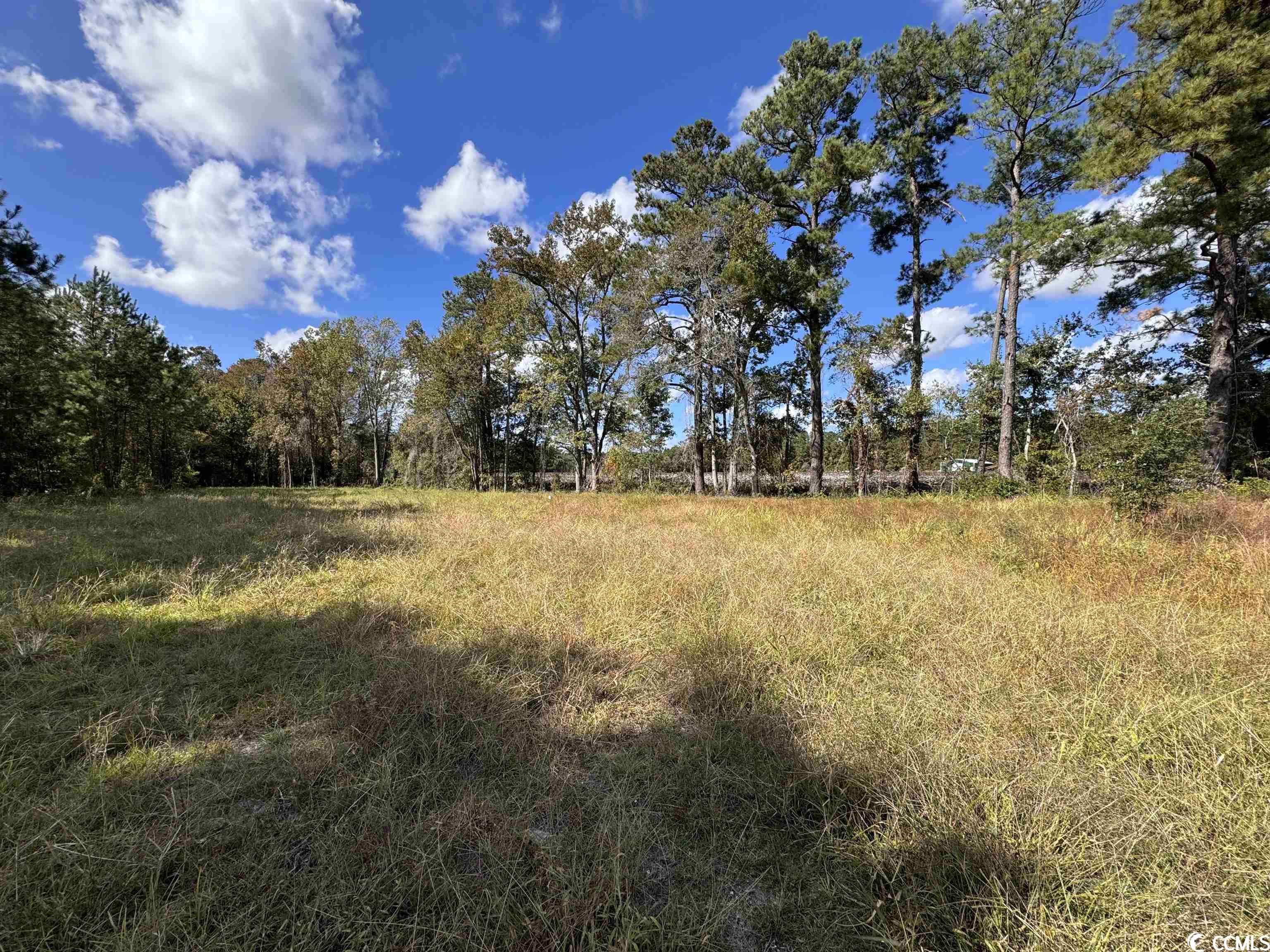 Bridgebrook Lane Conway, SC 29527 - Photo 3 of 9 Gallery Image 3