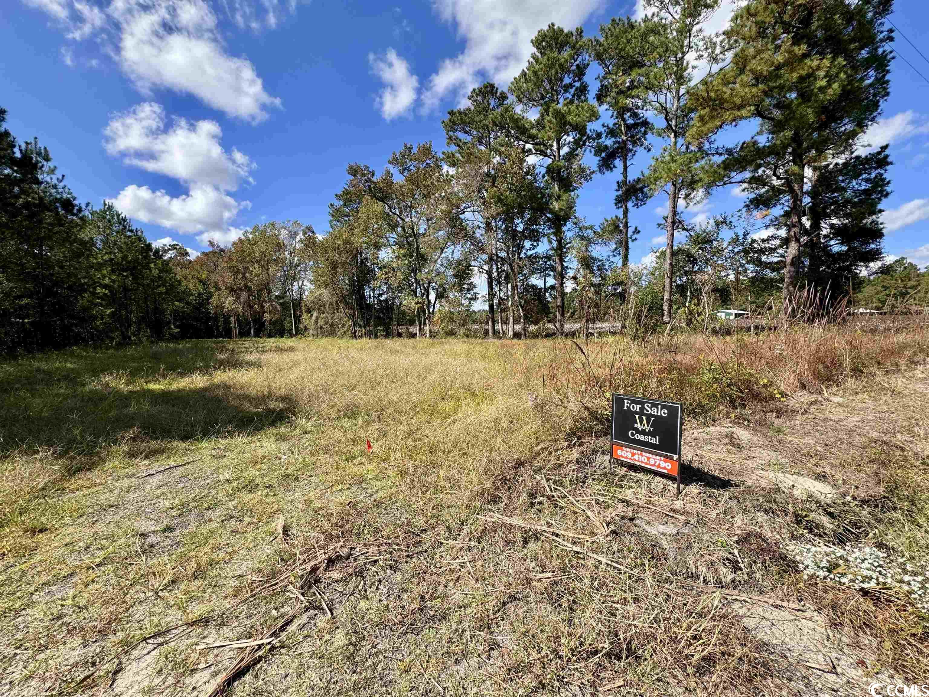Bridgebrook Lane Conway, SC 29527 - Photo 6 of 9 Gallery Image 6
