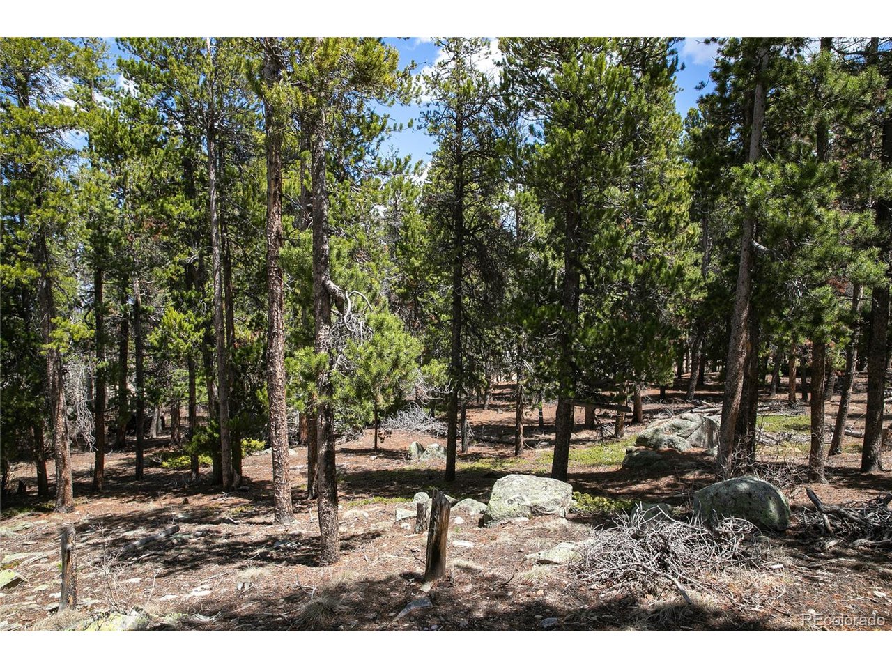 17 Ronnie Road Golden, CO 80403 - Photo 1 of 29 Gallery Image 1