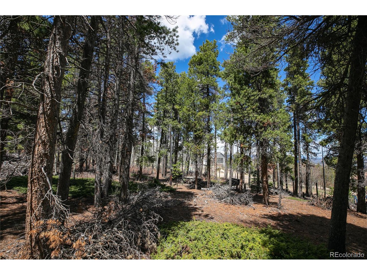 17 Ronnie Road Golden, CO 80403 - Photo 12 of 29 Gallery Image 12