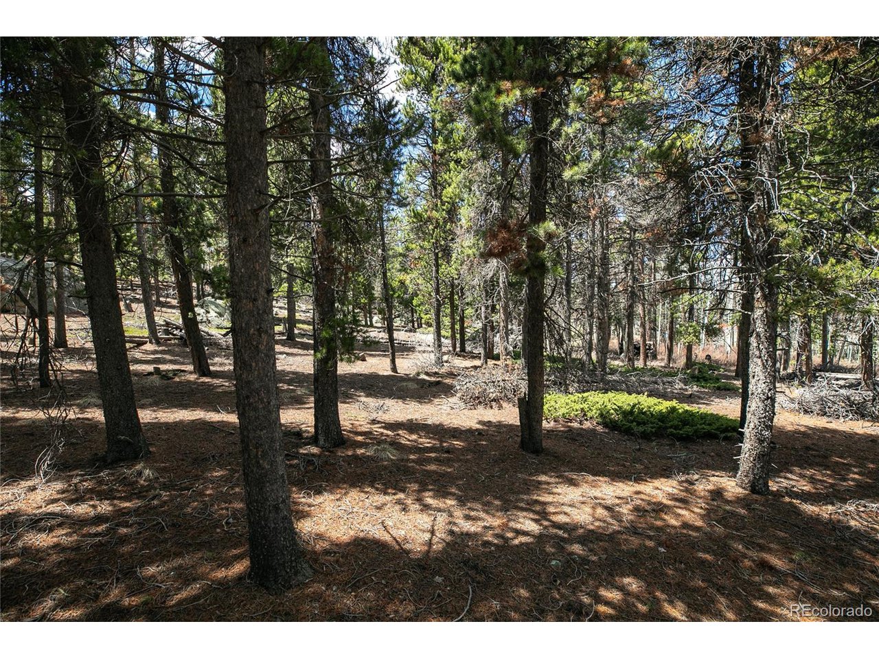 17 Ronnie Road Golden, CO 80403 - Photo 15 of 29 Gallery Image 15