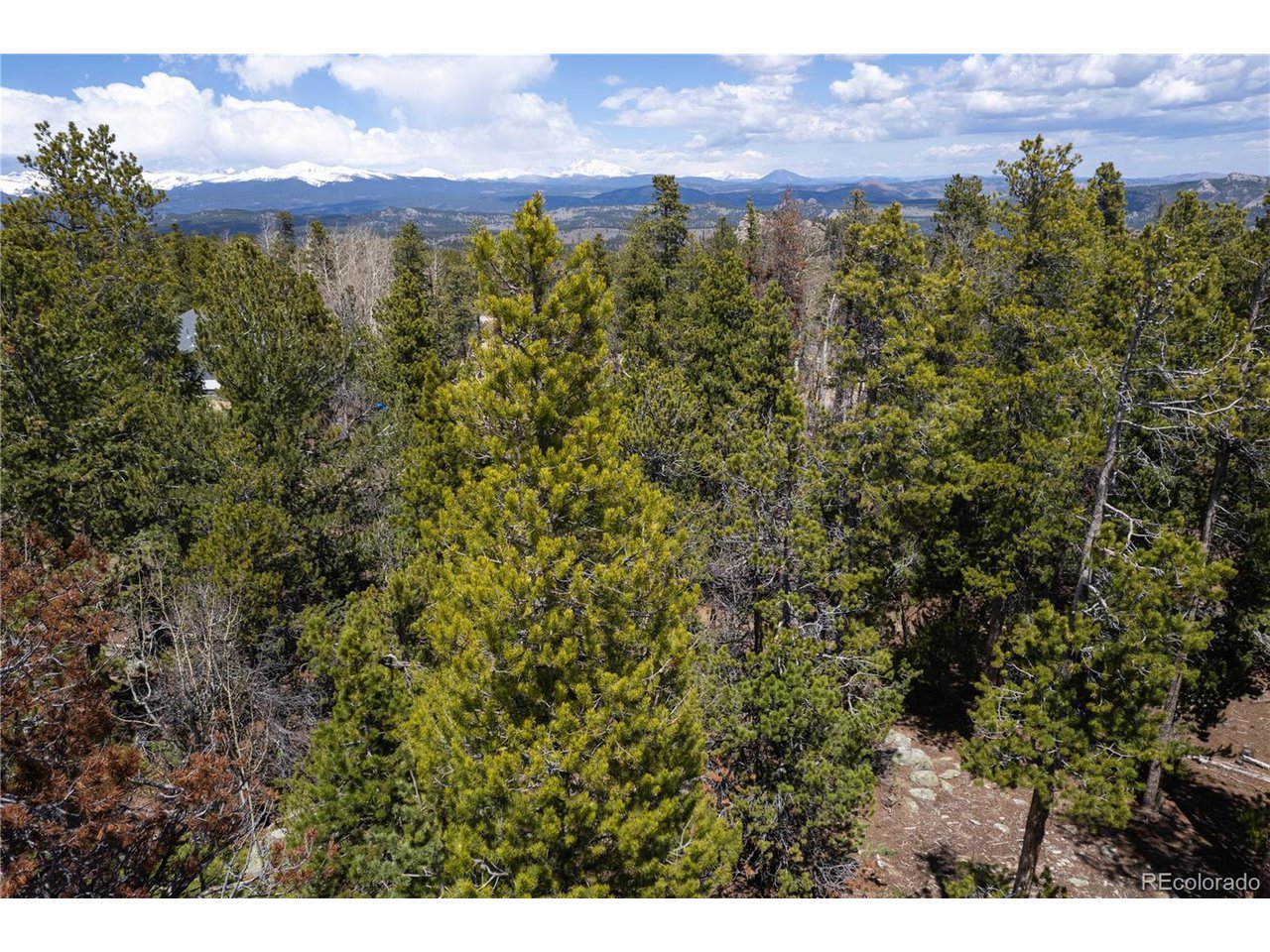 17 Ronnie Road Golden, CO 80403 - Photo 17 of 29 Gallery Image 17