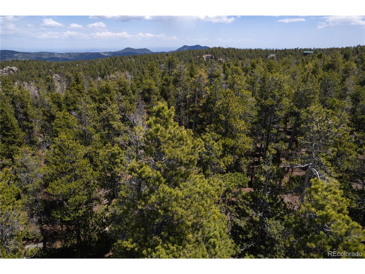 17 Ronnie Road Golden, CO 80403 - Photo 19 of 29 Gallery Image 19