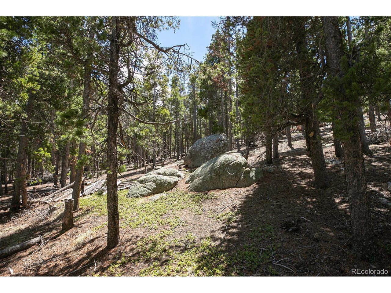 17 Ronnie Road Golden, CO 80403 - Photo 9 of 29 Gallery Image 9