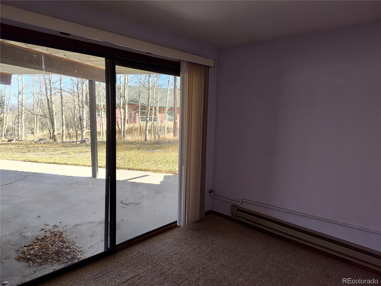 2584 High Creek Road Fairplay, CO 80440 - Photo 17 of 26 a view of an empty room and a window