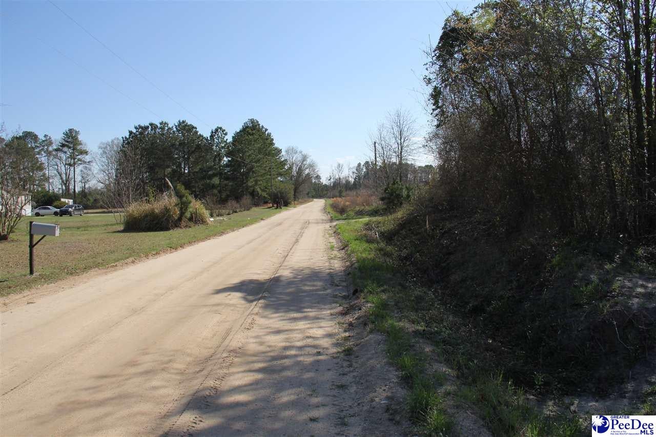 Tbd Tbd Country Manor Road Lamar, SC 29069 - Photo 2 of 3 Gallery Image 2